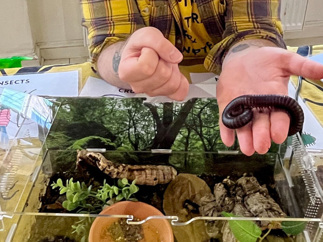 Salem Public Schools Grade 2 Habitat Fair